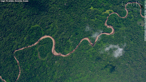 Tapiz río amazónico